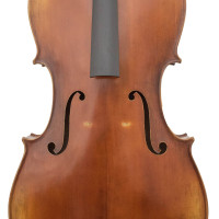 PETZ Classic étui violon